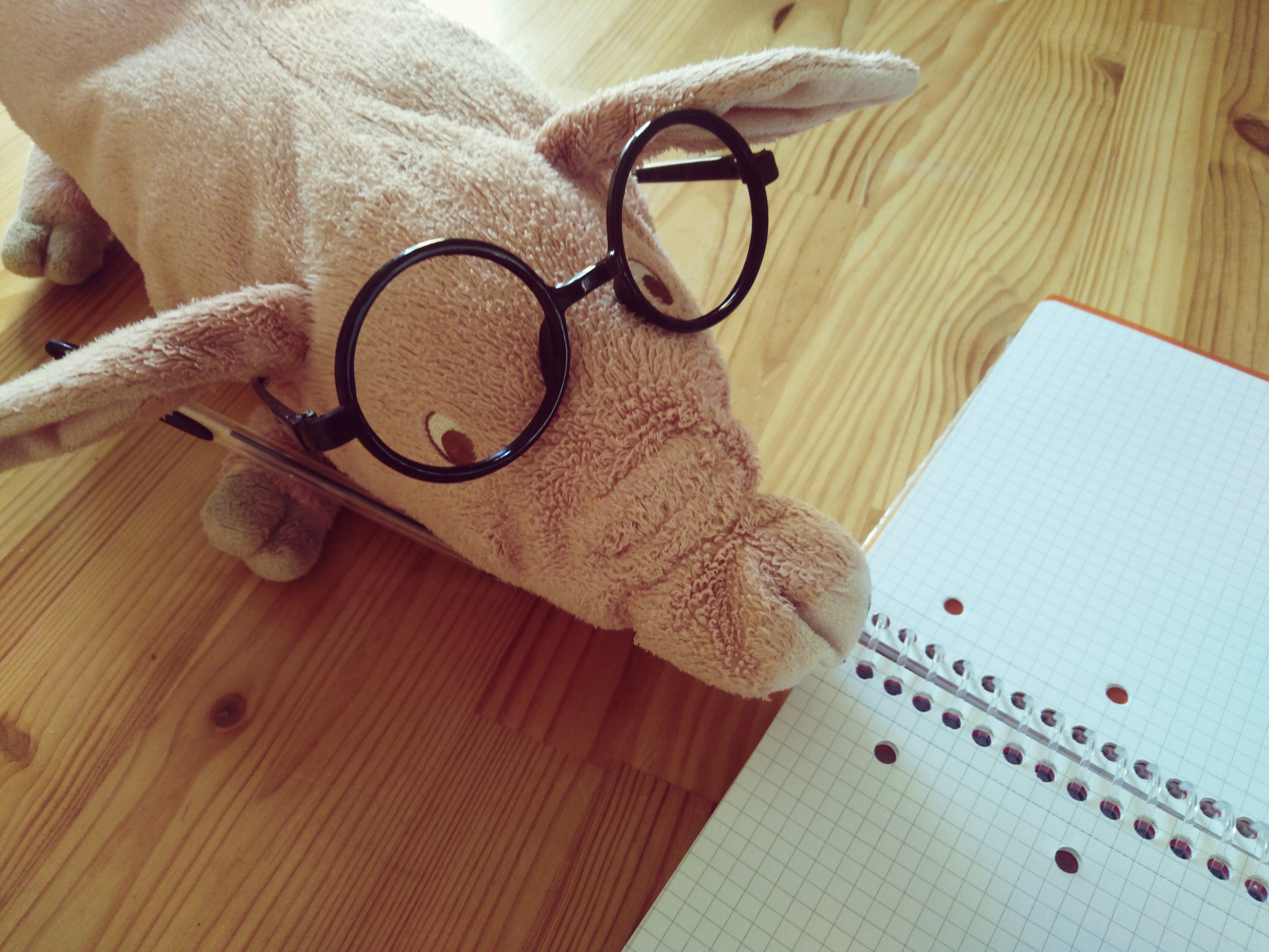 Libri che non sceglierò per mia figlia