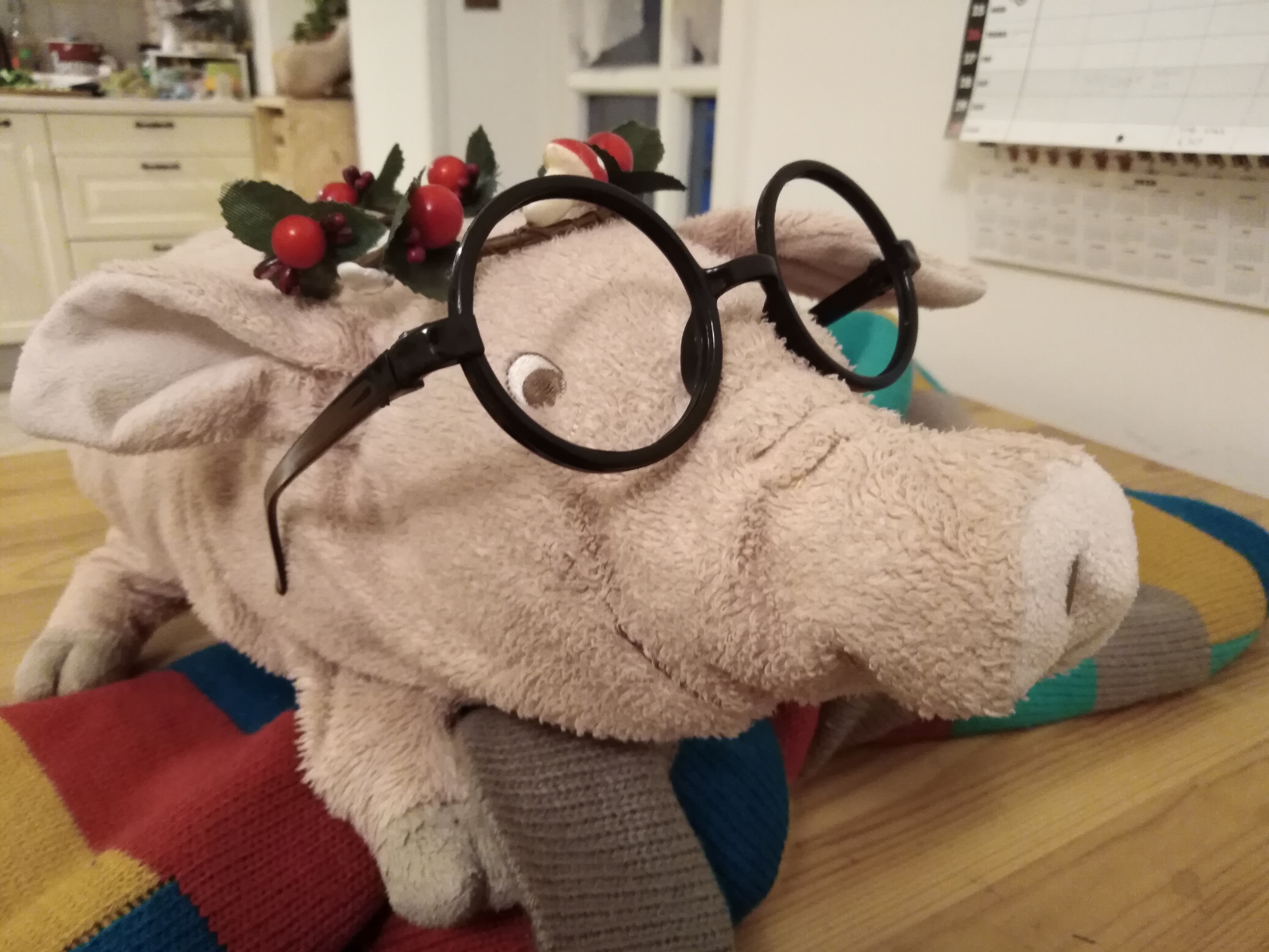 7 libri da regalare ai bambini a vostro rischio e pericolo - Natale