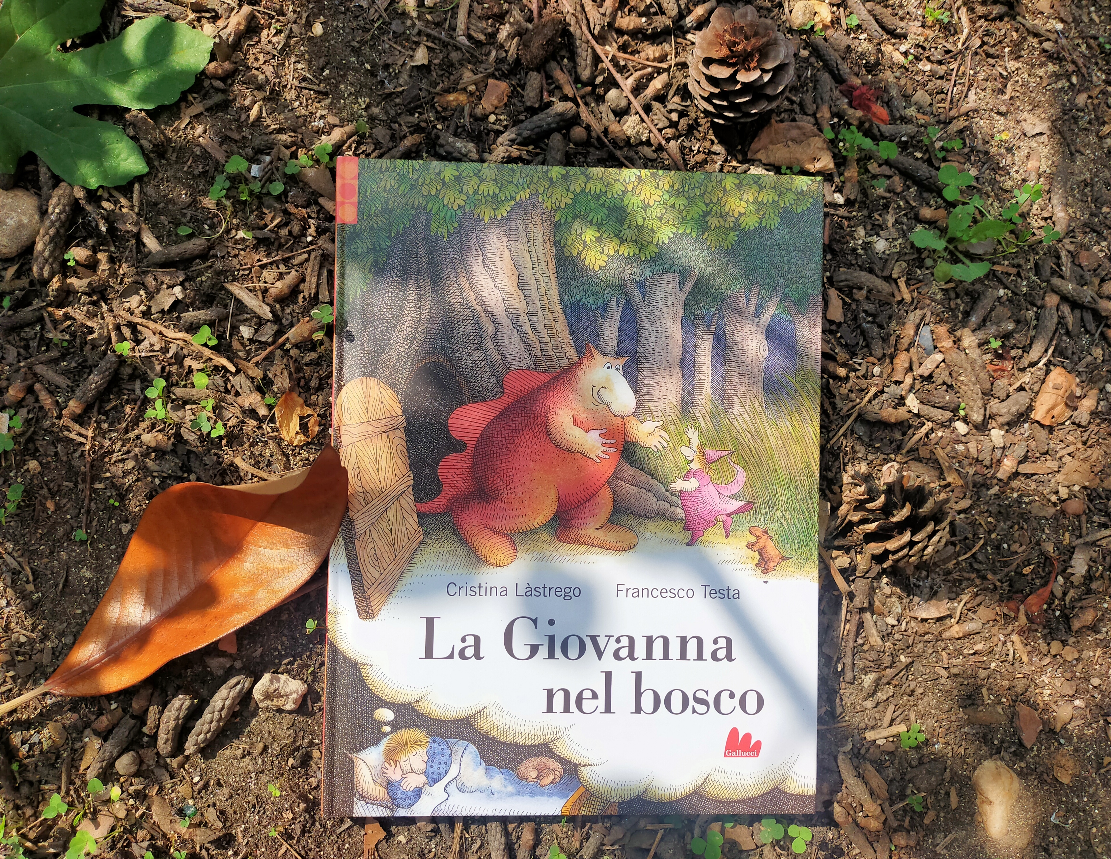 Libro "La Giovanna nel bosco", Cristina Lastrego - Francesco Testa - Gallucci