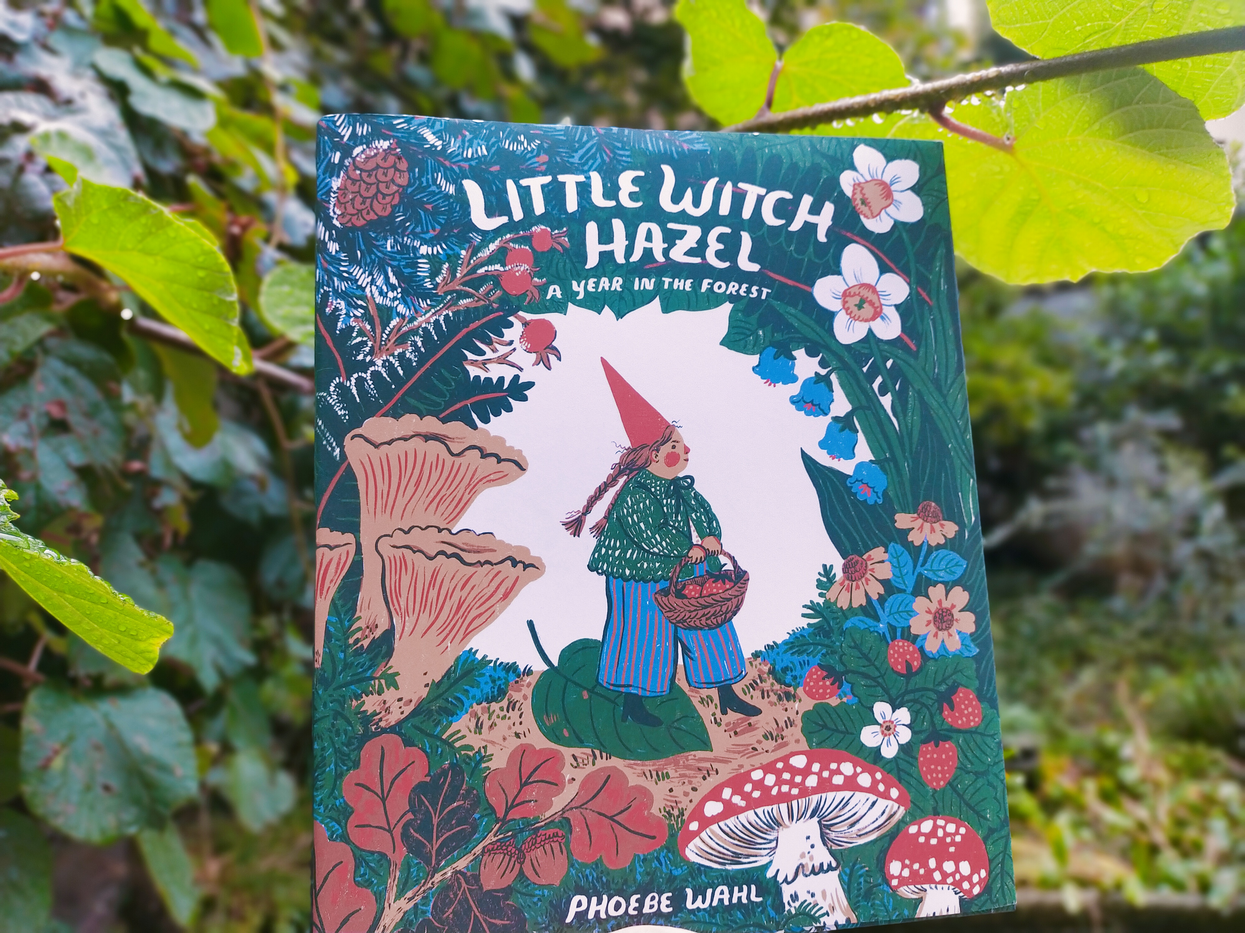 Little Witch Hazel- Phoebe Wahl - Tundra books